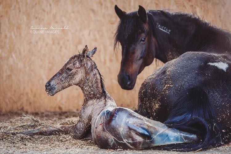 New Life @Carina Maiwald Photographer